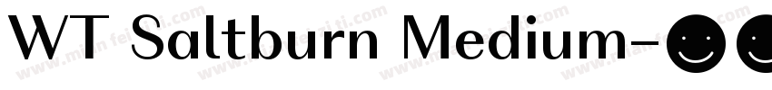 WT Saltburn Medium字体转换